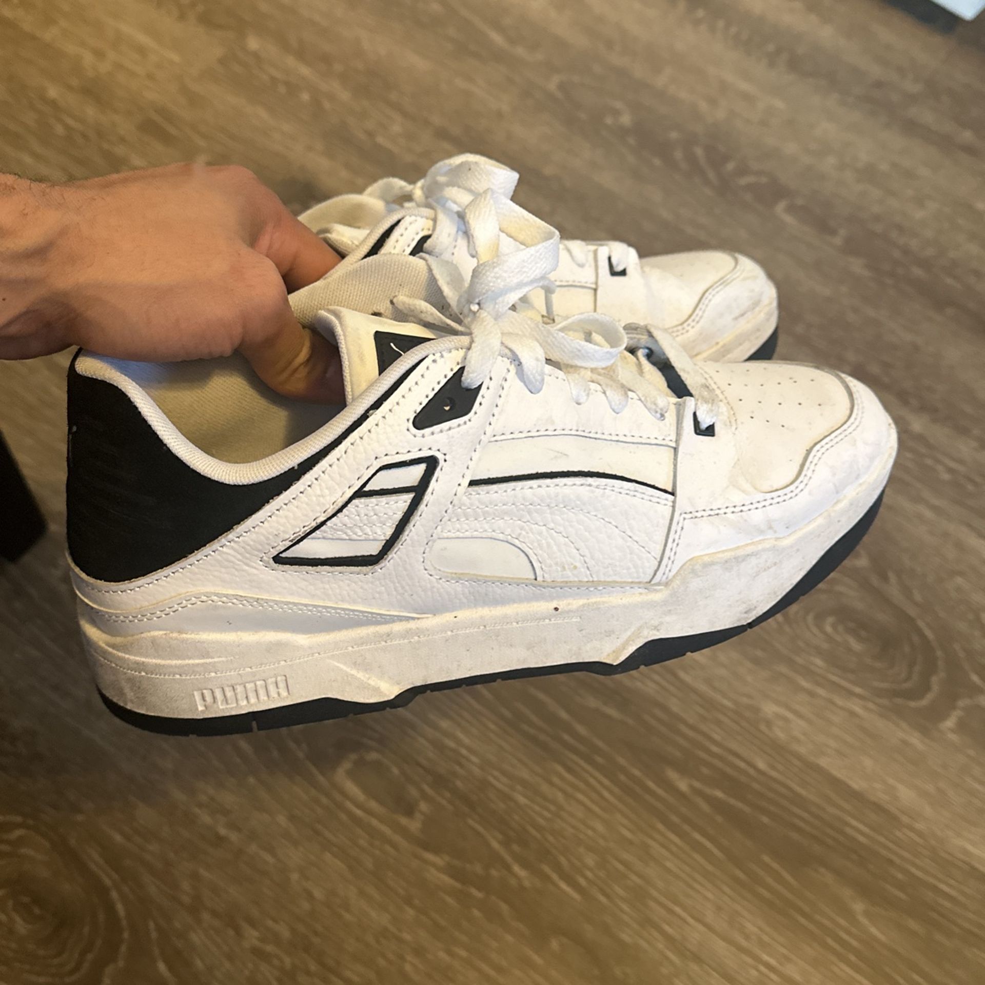 Puma