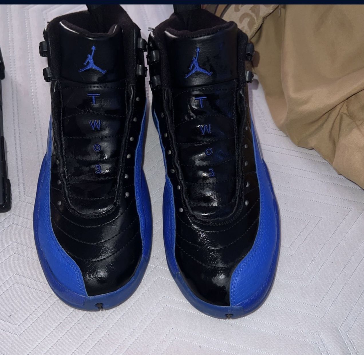 Air Jordan 12