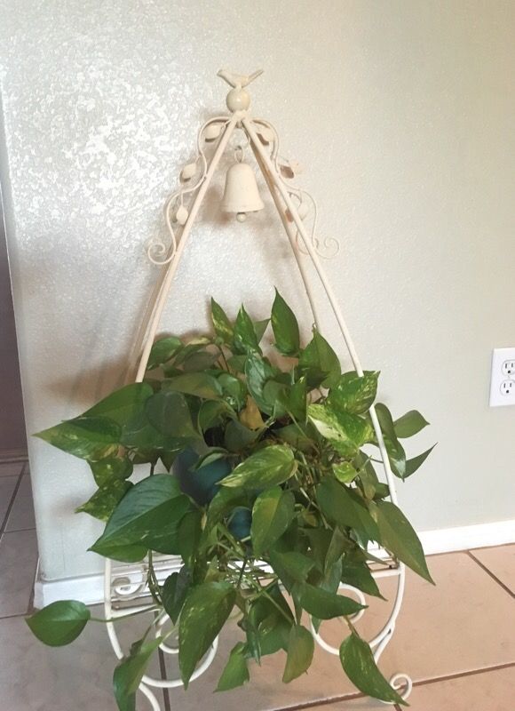 Beautiful plant stand