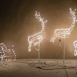 Christmas Display Lights