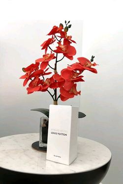 Louis Vuitton Attrape Reves 