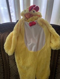Chicken costume