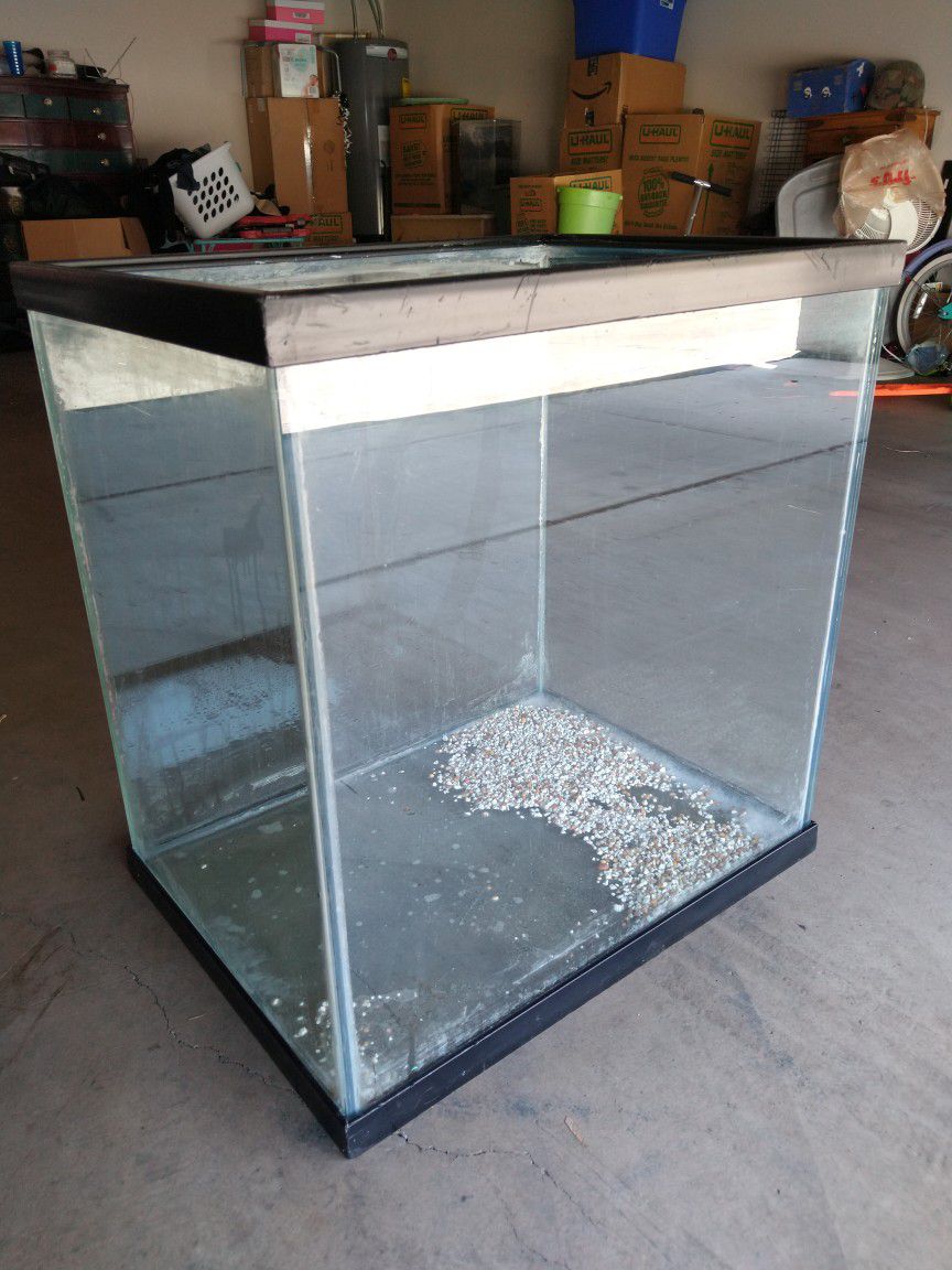 Large Fish Tank 