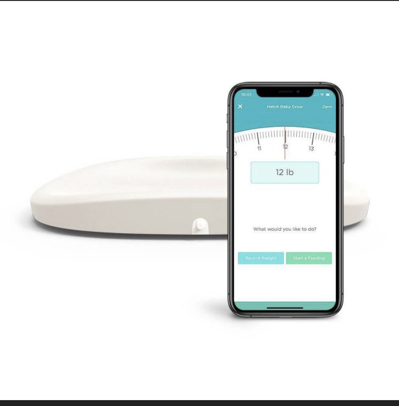 Hatch Changing Table