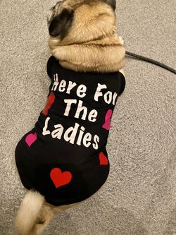 Personalized dog shirt