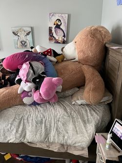 Biggest Stuffed Animal Bear I Could Find