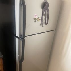Stainless Steel Apartment Size Fridge 