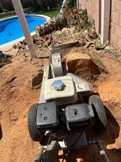Tree trimmer and stump graining