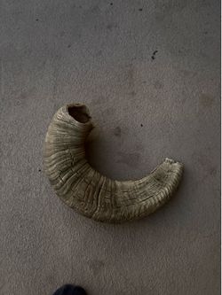 Ram horn