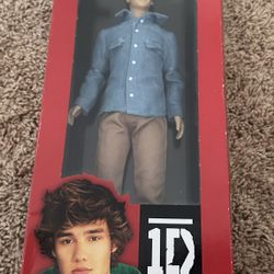 One Direction Liam Payne Hasbro 2012 Collector Doll