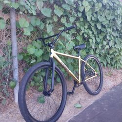 Throne 29er