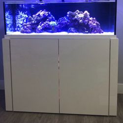 80 gal reef/ fish Aquarium tank rimless