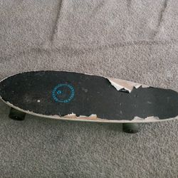 Kryptonics Skateboard