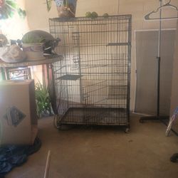 Cat Or Bird Cage