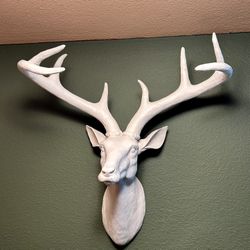  Beautiful White Deer Head