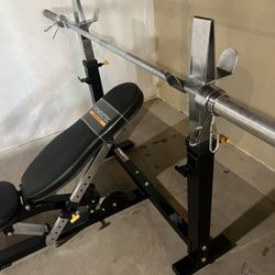 Powertec Adjustable Bench, Bar, Plates, Dumbbells 