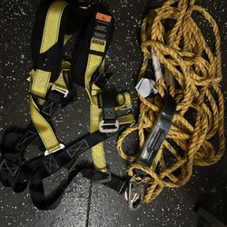 Fall Protection Harness