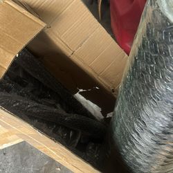 Cat fence conversion system