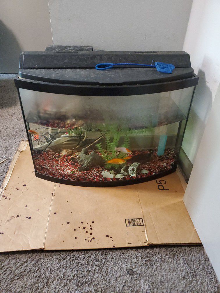FISH TANK AS IS 60 OBO FISH INCLUDED AND A FROG