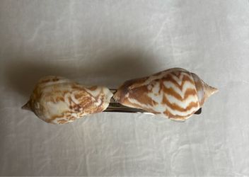 Seashell hair clip handmade