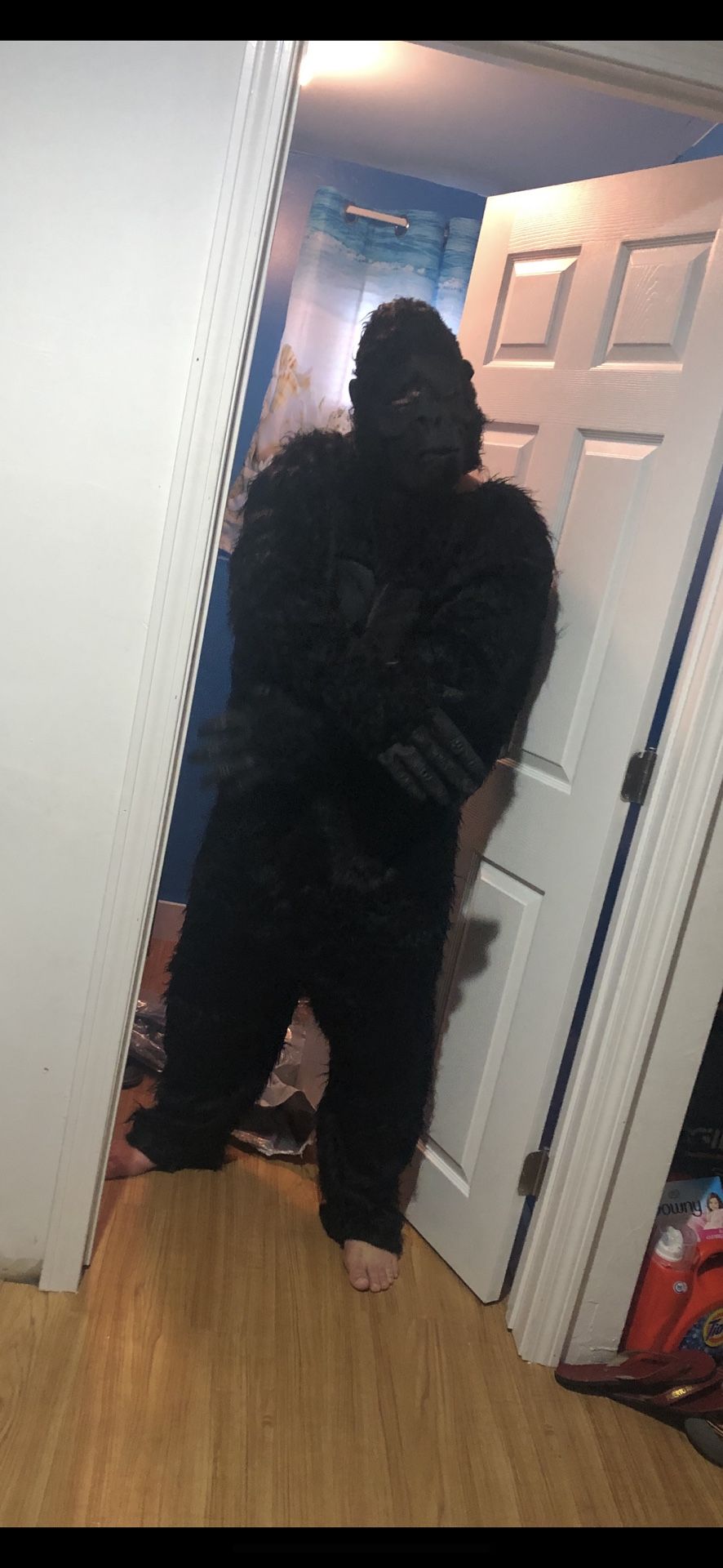 Gorrilla Costume