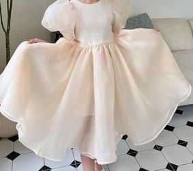 Princess organza dress New 12-18 months