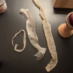 Snake Sheds