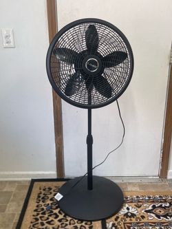 Fan