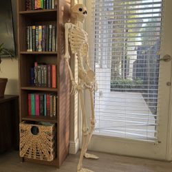 Halloween Skeleton 