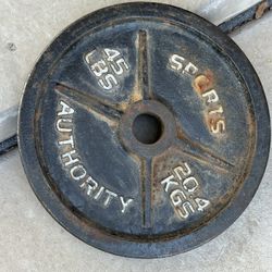 45 Pound Weights 