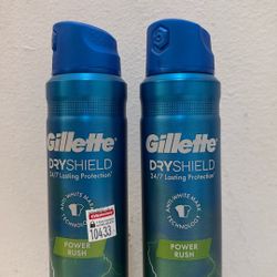 Gillette Dry Shield Dry Spray Combo Set (EXP. 11/2025 & 12/2025