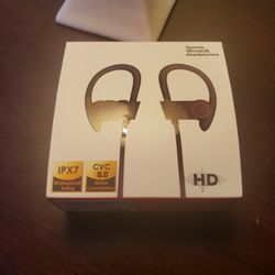 Sports Wireless Earbuds