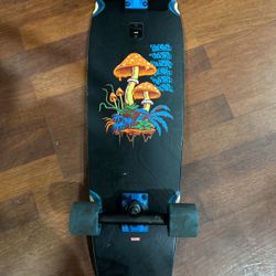Cruiser Skateboard 32x9
