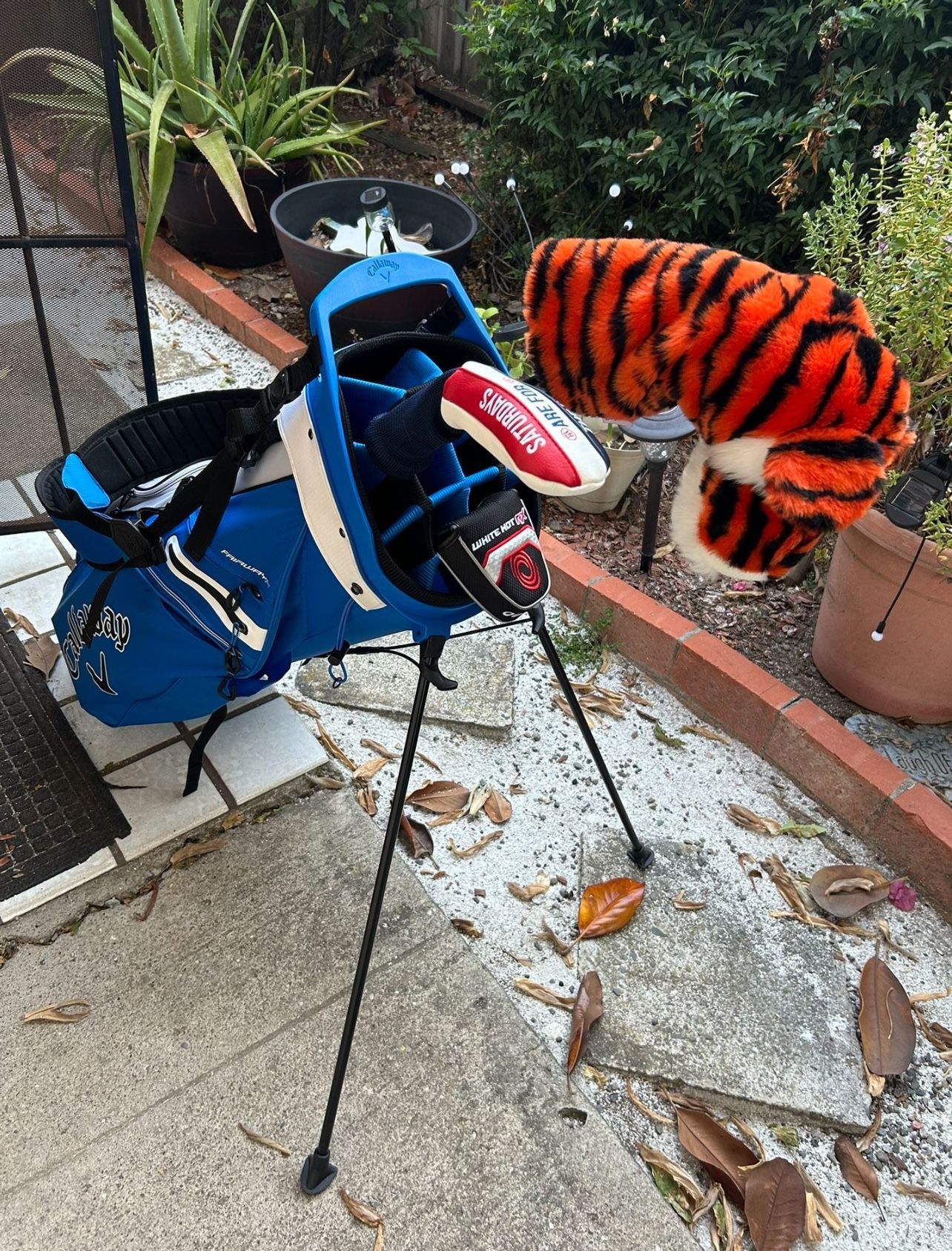 Golf Clubs & Callaway Bag
