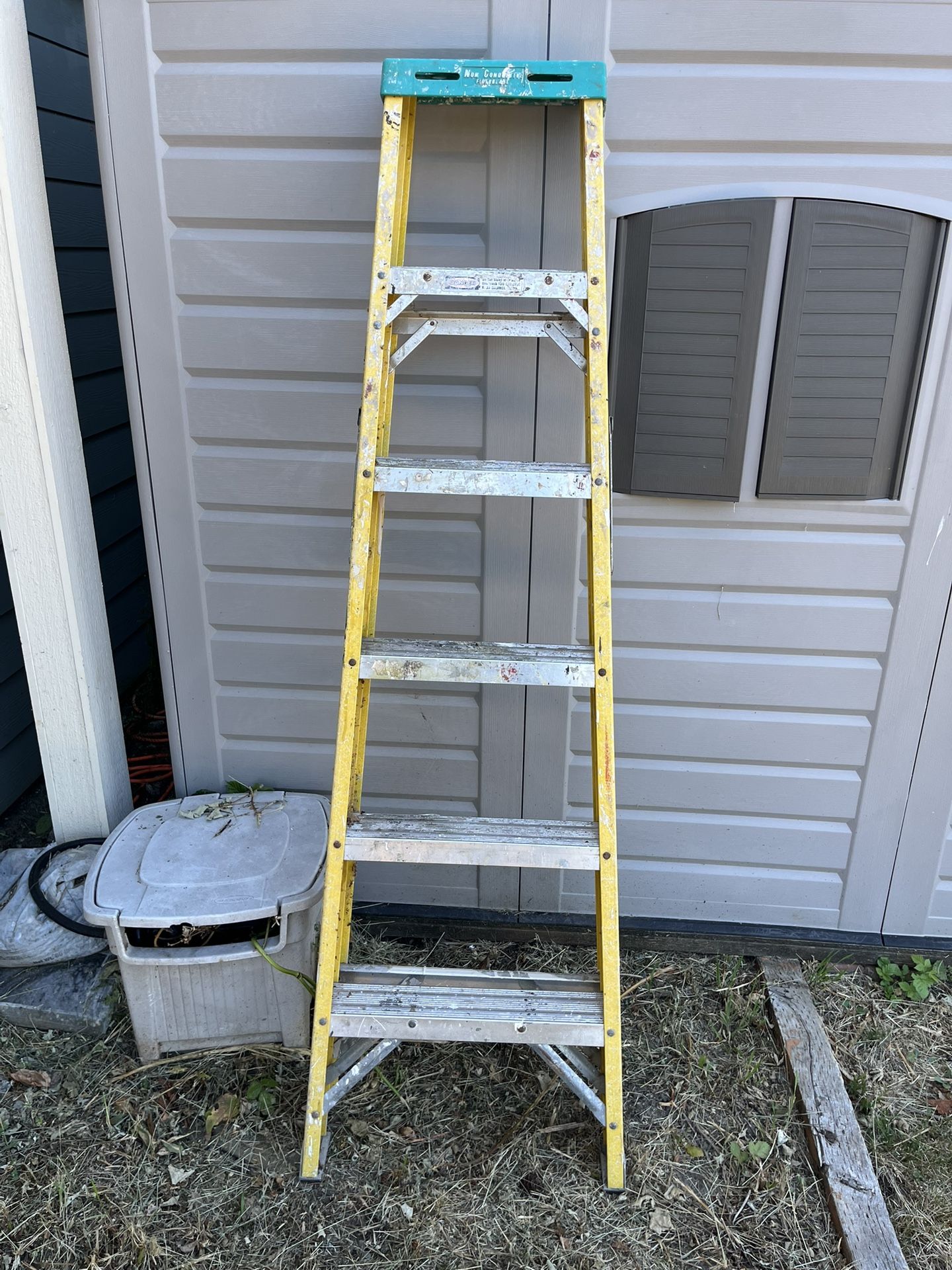 6 Foot ladder