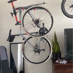 Masi Alare Bike