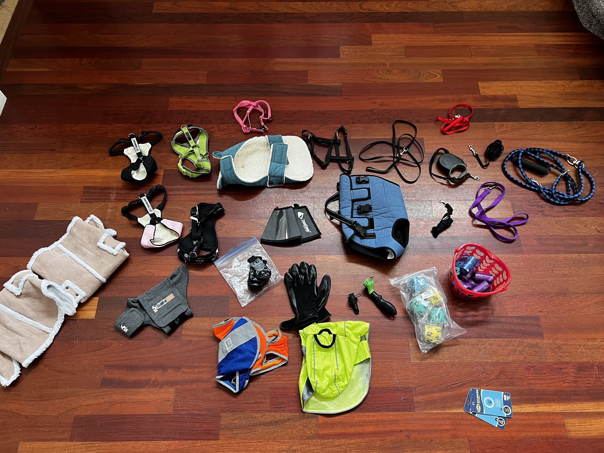 Small Dog Complete Setup