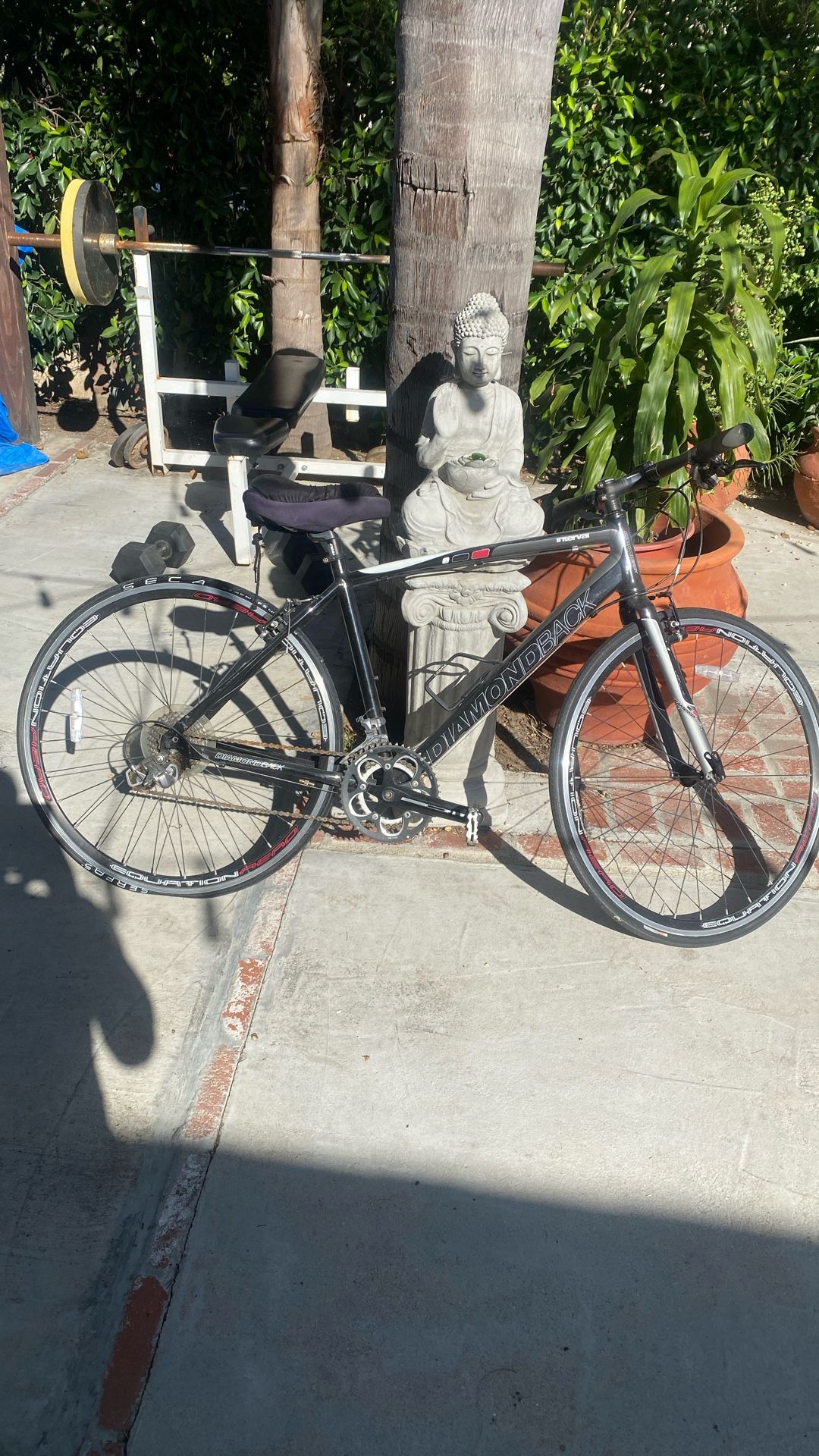 diamond back road bike