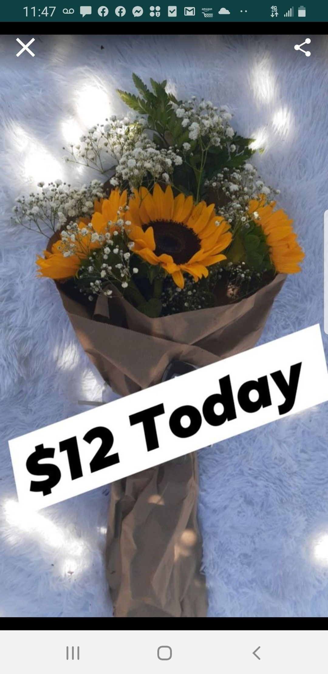 Special this week 🌻