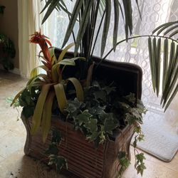 Artificial Palm Tree With Basket/trunk