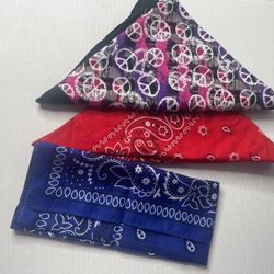 Bandanas Multicolor 3pk