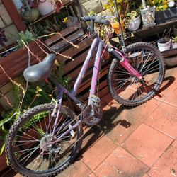 Adult Bike