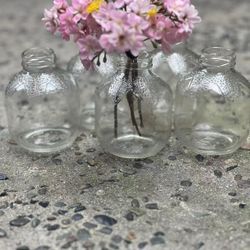 small art circle glass bottle cups planting