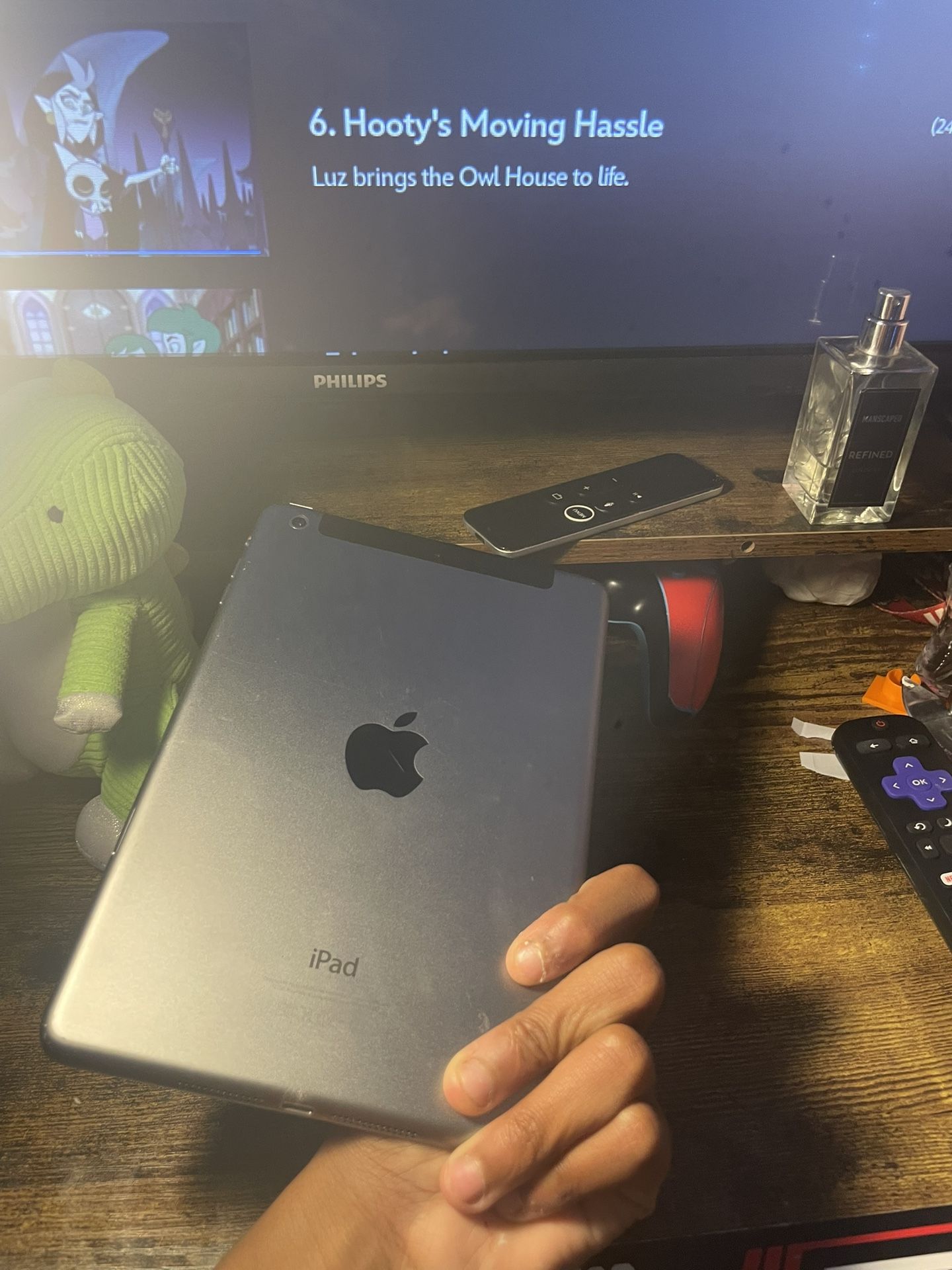 iPad Mini Need Gone!!