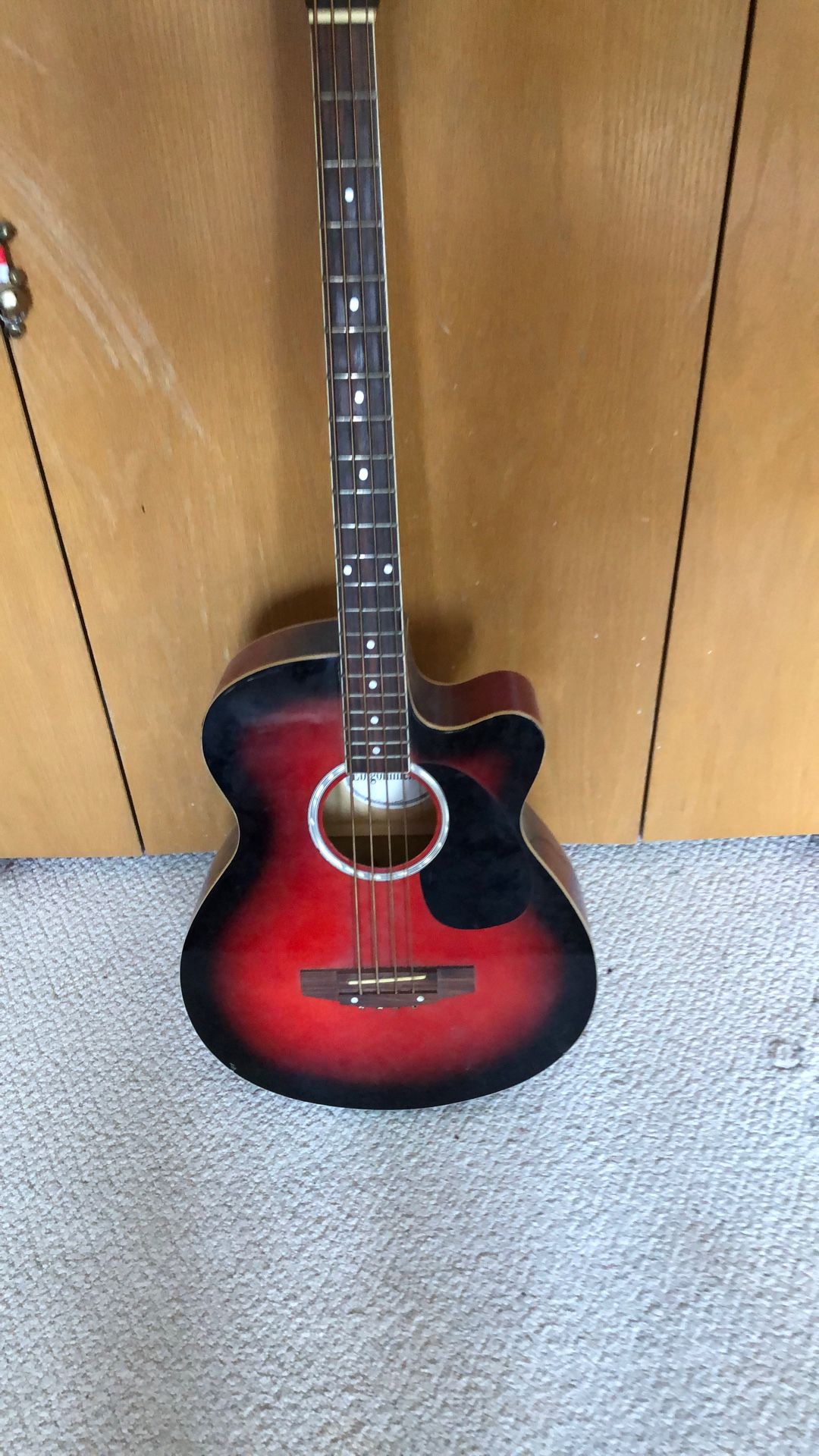 Acoustic Electric Bass