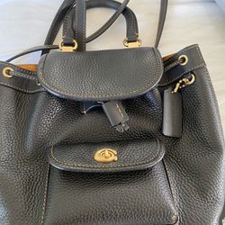 Coach mini leather backpack 