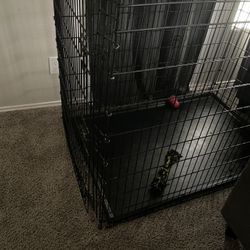 Huge Dog Cage 