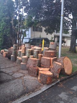 Split Fir firewood