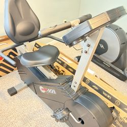 Edge 491 Recumbent Bike