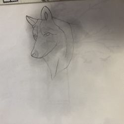 Custom Wolf Drawing 